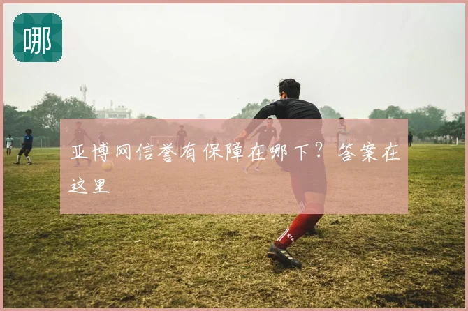 亚博网信誉有保障在哪下？答案在这里